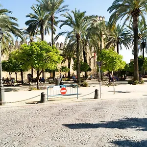 étnico , Córdoba España